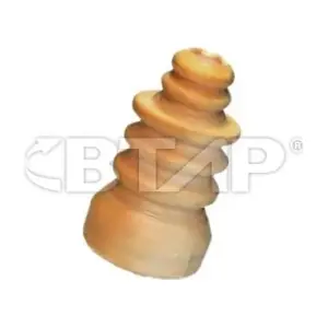 BVC313-004 BTAP