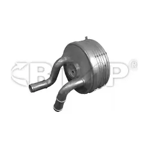 BVE105-010 BTAP