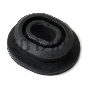 BVE917-004 BTAP