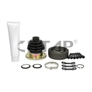 BVC509-011 BTAP
