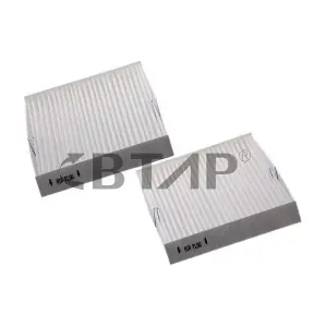 BBE301-048 BTAP