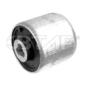 BMC303-058 BTAP