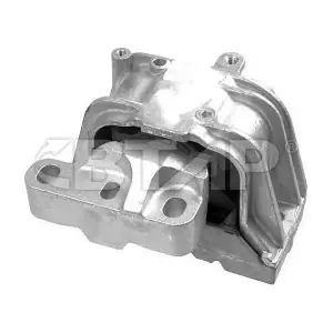 BVE1101-341 BTAP