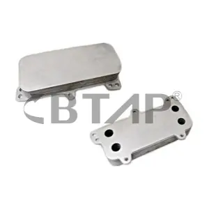BVE105-017 BTAP