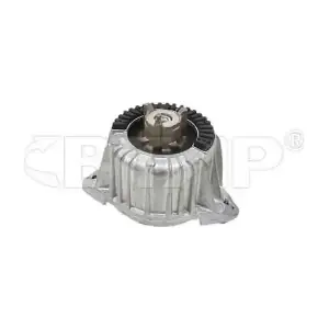 BMB205-002 BTAP