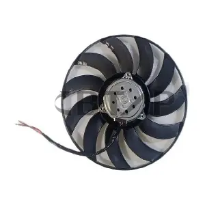 BVE911-019 BTAP