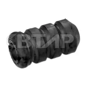 BMC313-002 BTAP