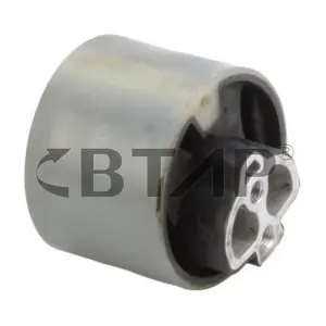 BVC325-001 BTAP