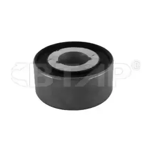 BMC303-006 BTAP