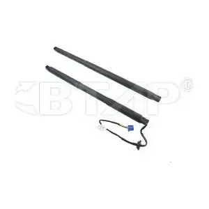 BMB109-010 BTAP