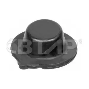 BME303-003 BTAP