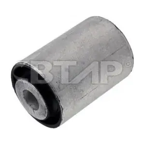 BMC303-049 BTAP