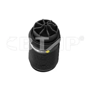 BME314-010 BTAP