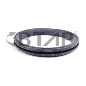 BVE005-003 BTAP