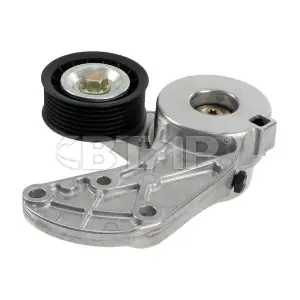 BVE803-009 BTAP