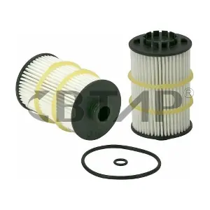 BVE101-005 BTAP