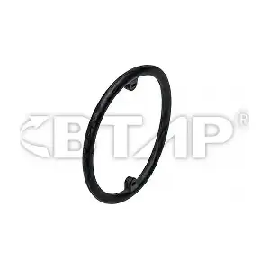 BVE005-024 BTAP