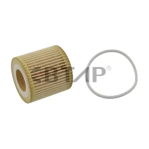 BVE101-245 BTAP