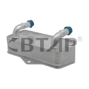 BVE105-016 BTAP
