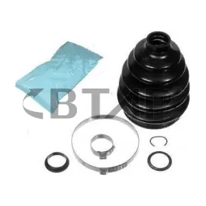 BVC502-011 BTAP