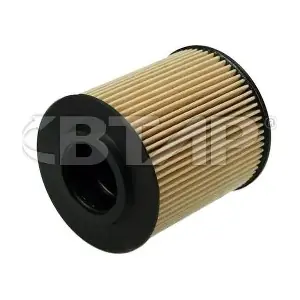 BVE101-015 BTAP