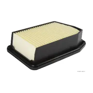 302884 JAPCAR