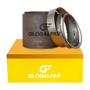 GF-210128 GLOBAL FAP