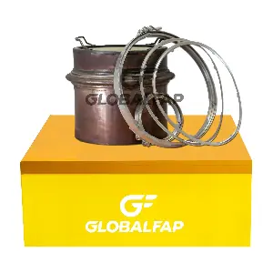 GF-210107 GLOBAL FAP