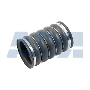 59570031 ADR