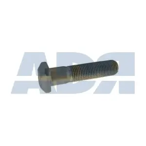 24560950 ADR