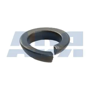 24000181 ADR
