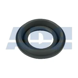 48579137 ADR