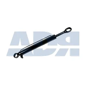 72560938 ADR
