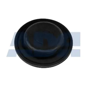 75100121 ADR