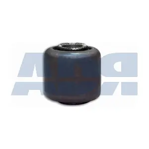 55509911 ADR