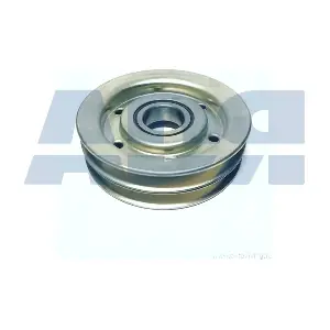 85571009 ADR