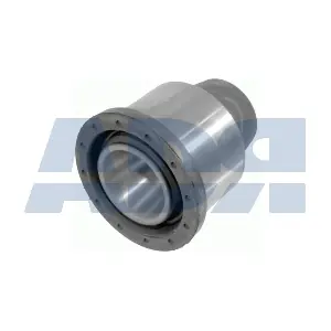 55579126 ADR