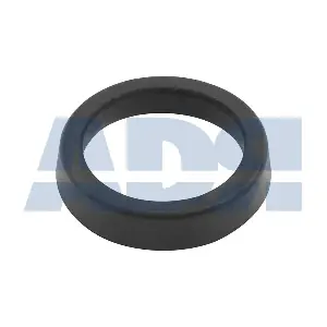 55569005 ADR