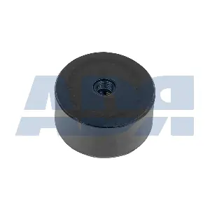 64569996 ADR