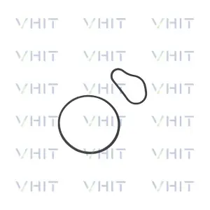 F009D00783 VHIT
