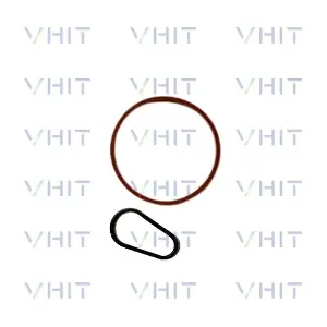 F009D02040 VHIT