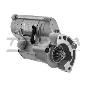TT16849 TESLA TECHNICS