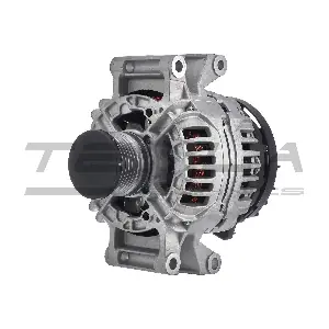 TESLA TECHNICS TT11195