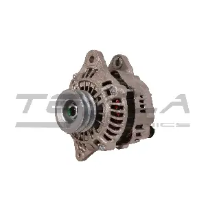 TT11695 TESLA TECHNICS