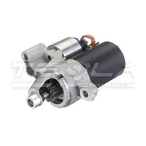 TT16538 TESLA TECHNICS