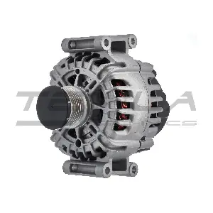 TT12843 TESLA TECHNICS