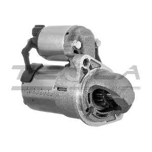 TT16744 TESLA TECHNICS