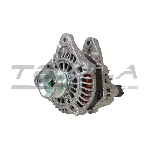 TT11257 TESLA TECHNICS