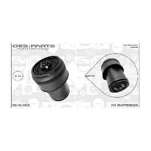 ES-15-0031 OES PARTS