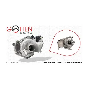 GB-07-0010 OES PARTS